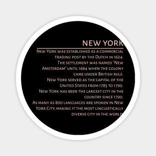 New York Awesome History Magnet